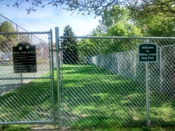 Dog park